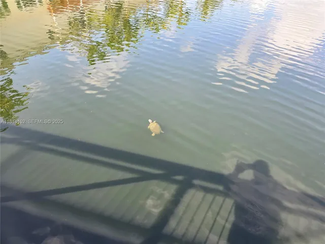 a view of an ocean view