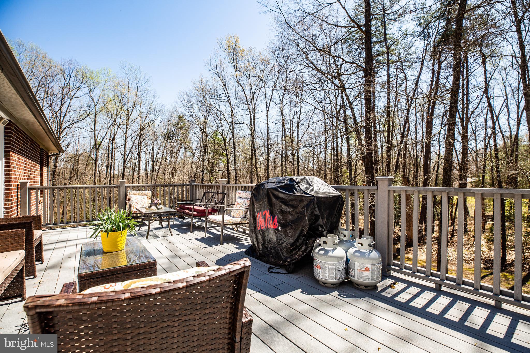 13231 Sillamon Road Goldvein, VA 22720 - Photo 47 of 77 Gallery Image 47