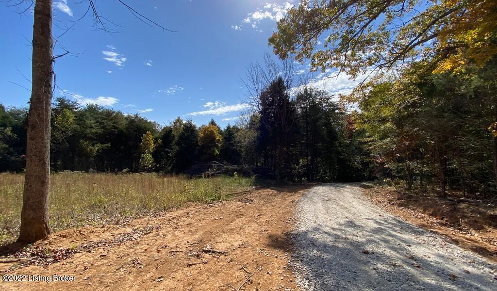 L46 Logsdon Spur Road Clarkson, KY 42726 - Photo 5 of 11 River View Fall241