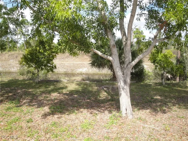 a view of a yard with trees