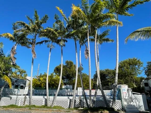 a view of swimming pool with outdoor seating