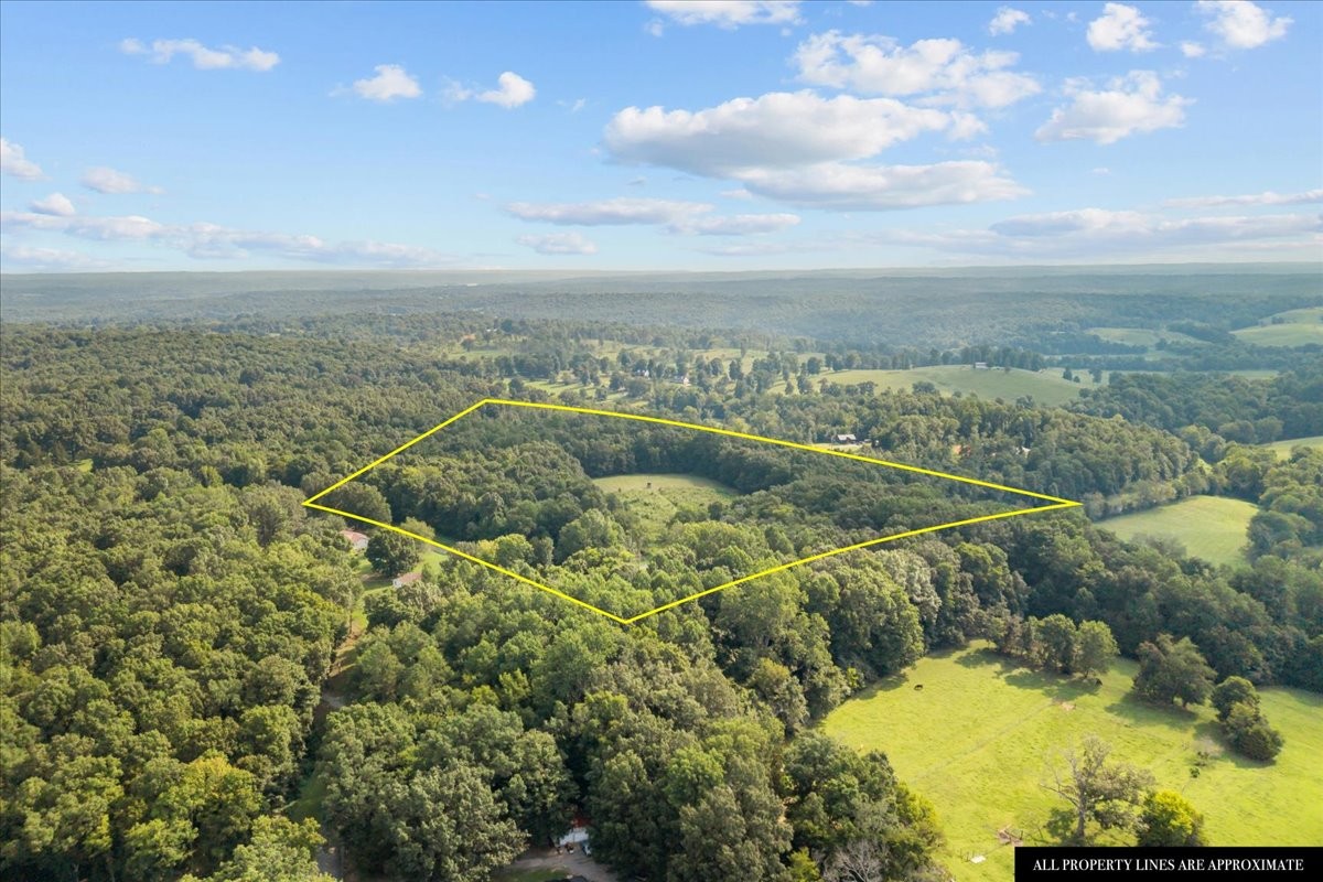 0 Kizer Ridge Road Erin, TN 37061 - Photo 9 of 20 Gallery Image 9