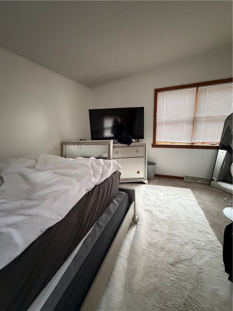 855 South Stone Street Decatur, IL 62521 - Photo 5 of 11