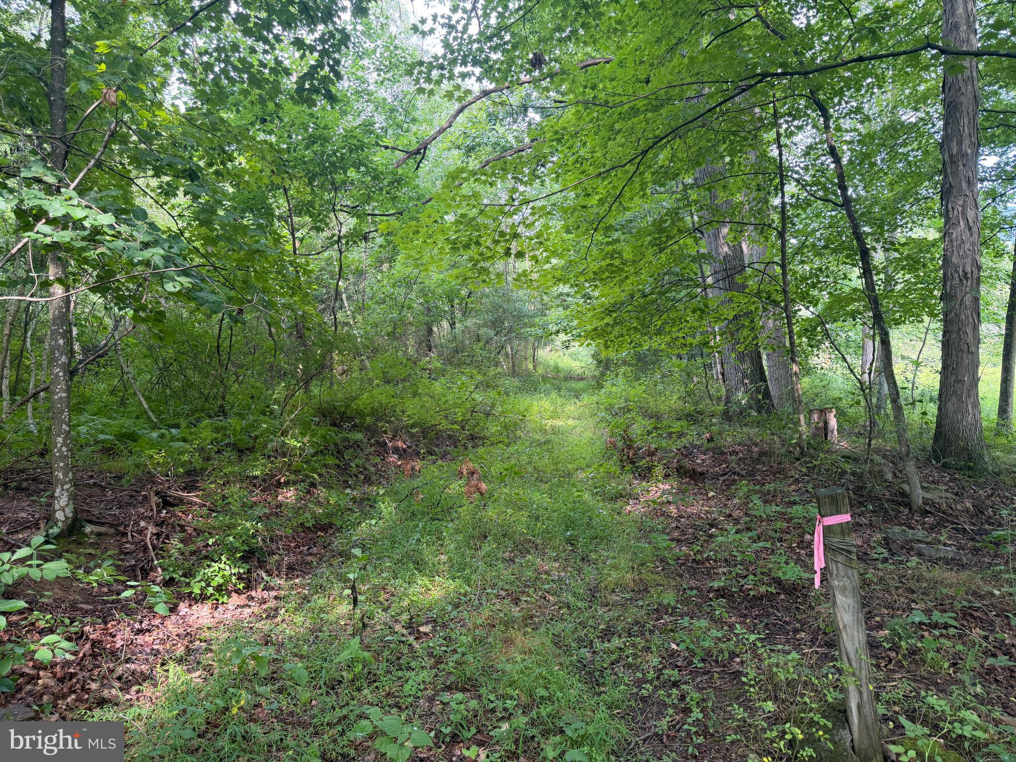 107-acres Schenck Road Wells Tannery, PA 16691 - Photo 53 of 73 Gallery Image 53