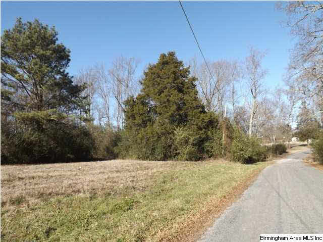 New Prospect Church Road, Unit 16 Horton, AL 35980 - Photo 1 of 20