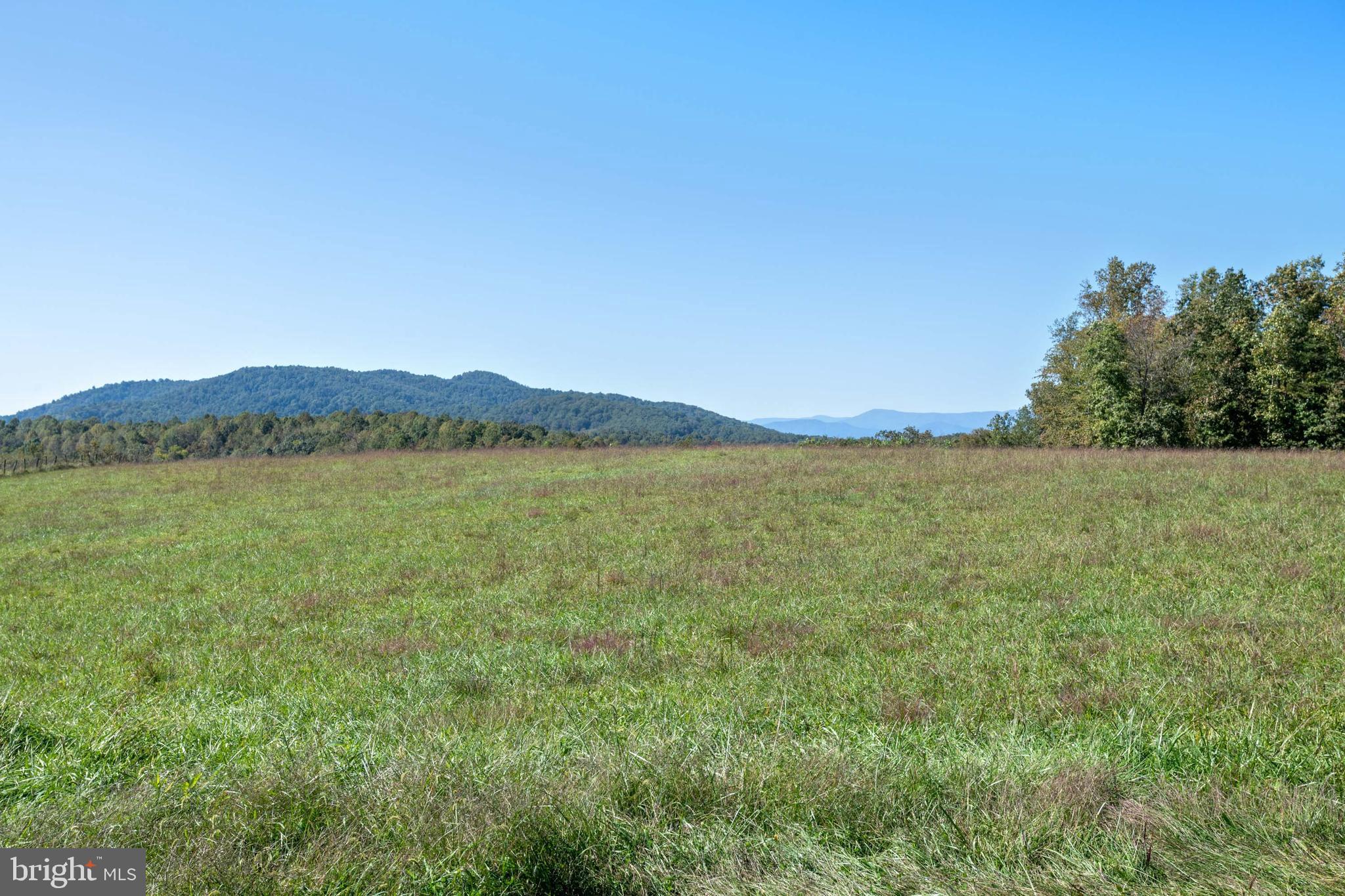 20292 Camp Road Culpeper, VA 22701 - Photo 33 of 42 Back Field