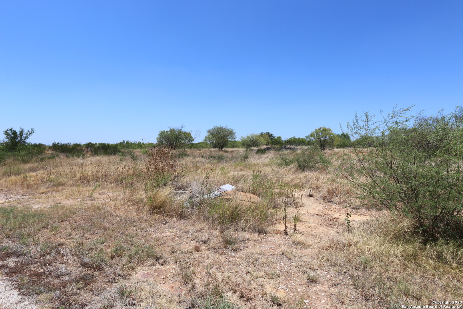 109 County Road 2638 Devine, TX 78016 - Photo 2 of 5 a view of a dry yard with trees in the background