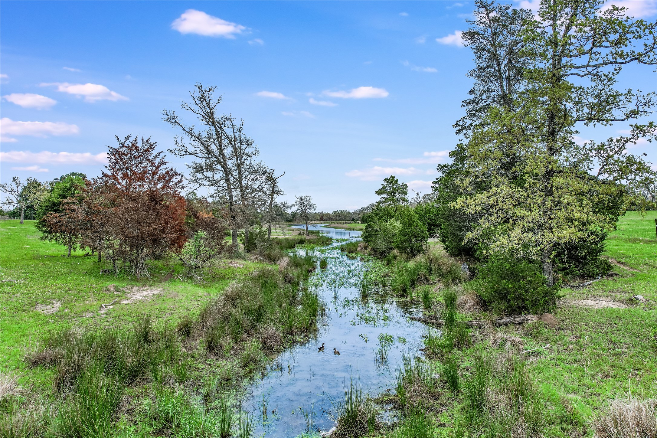 363 Paint Creek S Road, Unit A Paige, TX 78659 - Photo 21 of 28 A tranquil water feature winds through a lush, verdant landscape under an open sky.