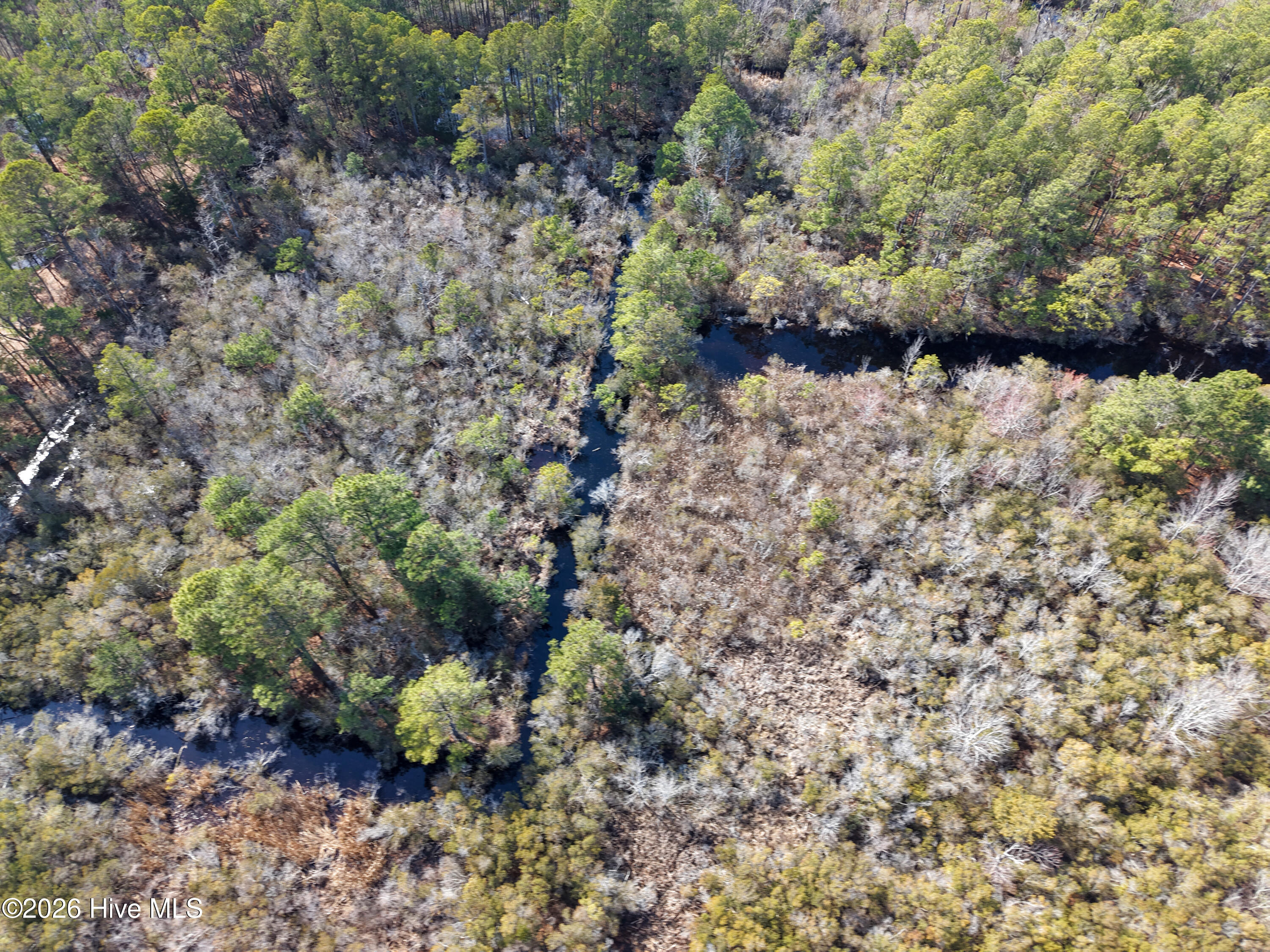 959 Waterlily Road Coinjock, NC 27923 - Photo 22 of 24