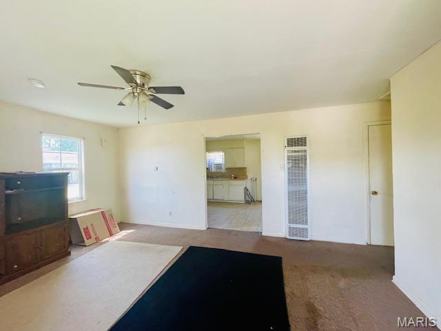 944 Brush Prairie Road New Madrid, MO 63869 - Photo 11 of 11