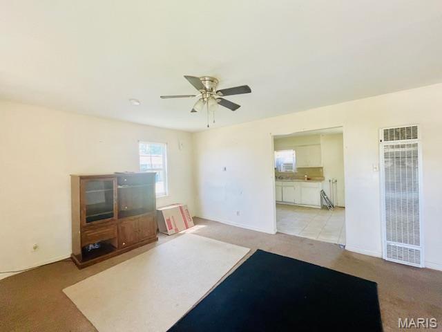 944 Brush Prairie Road New Madrid, MO 63869 - Photo 10 of 11