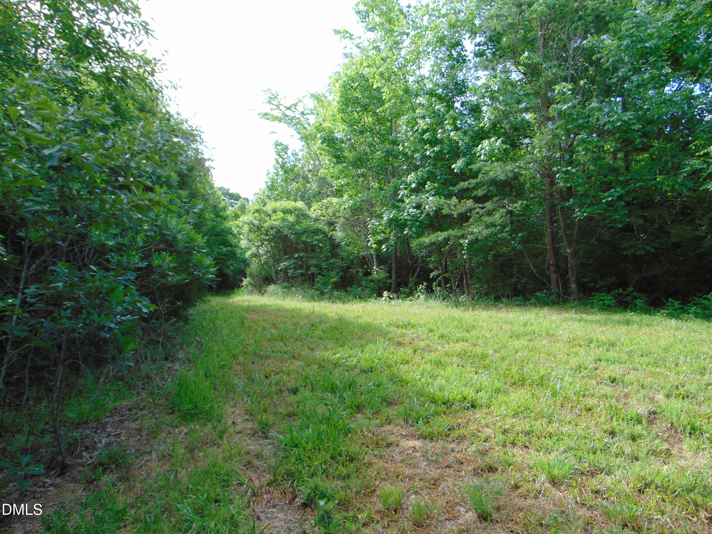 0 Walters Mill Road Providence, NC 27315 - Photo 19 of 22 DSC01577