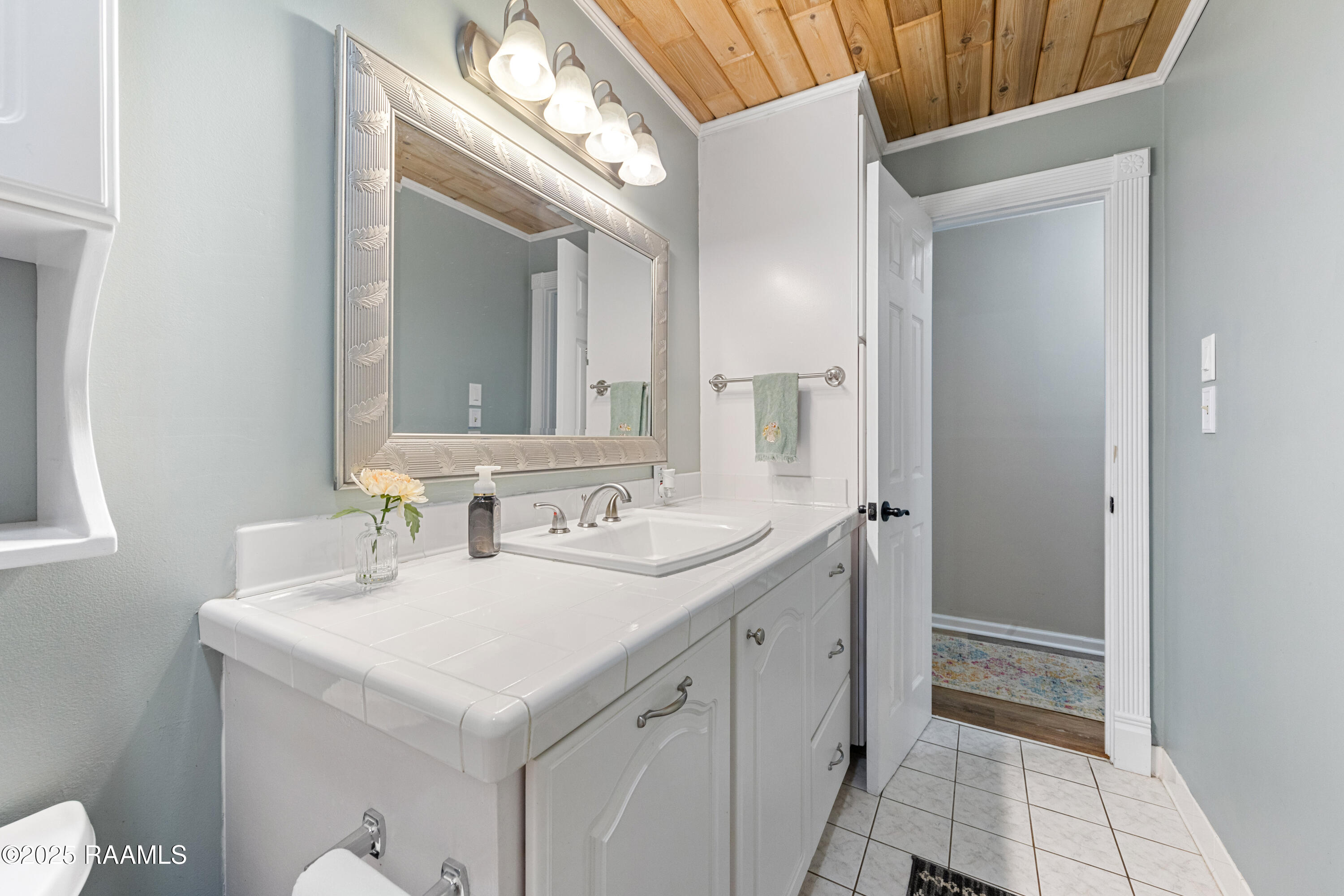 217 Atlas Road Youngsville, LA 70592 - Photo 28 of 44 217Atlas-90