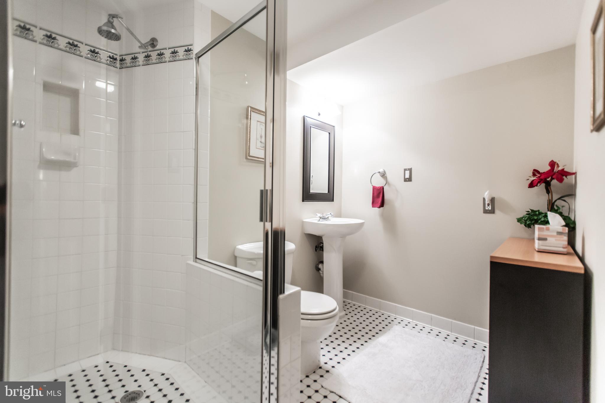 21300 Mirror Ridge Place Sterling, VA 20164 - Photo 40 of 47 Lower Level Full Bath