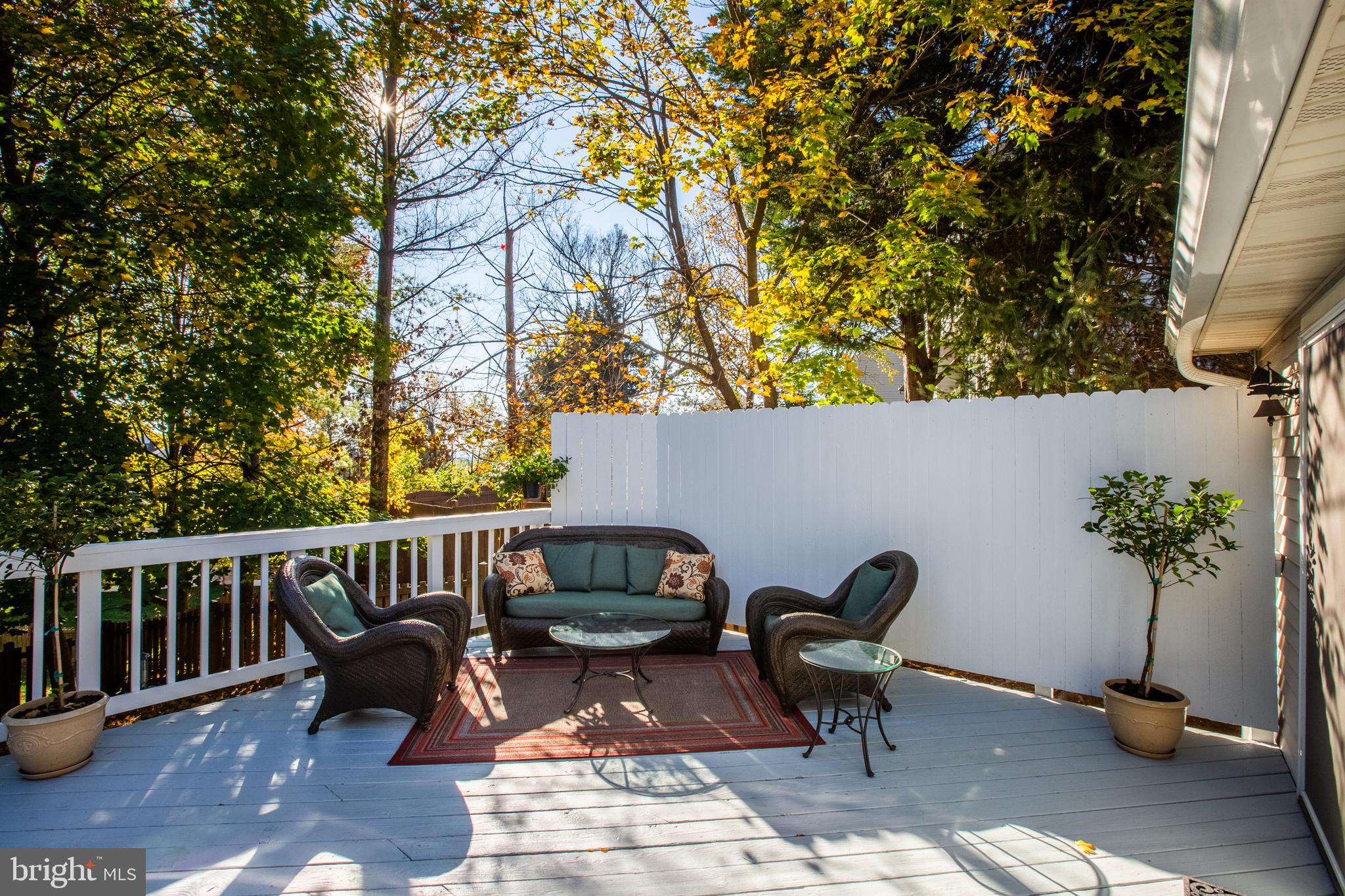 21300 Mirror Ridge Place Sterling, VA 20164 - Photo 44 of 47 Spacious Deck
