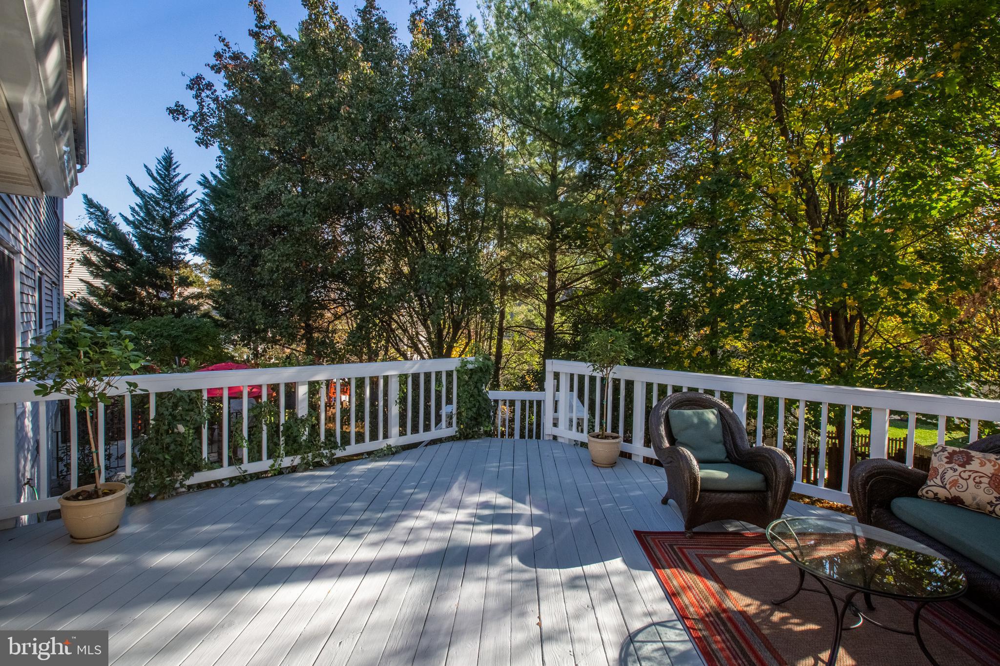 21300 Mirror Ridge Place Sterling, VA 20164 - Photo 46 of 47 Deck