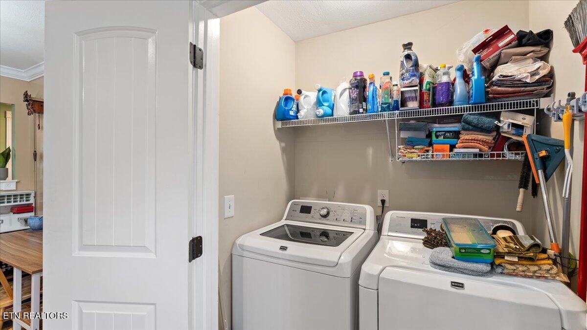 7472 Cotton Patch Road Corryton, TN 37721 - Photo 27 of 29 Gallery Image 27