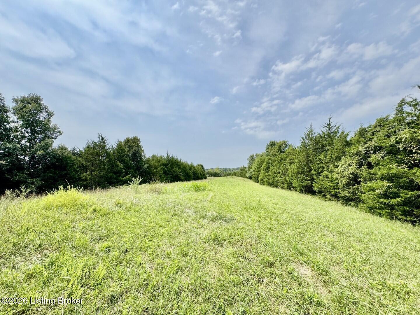 4223 Chaplin Road Willisburg, KY 40078 - Photo 39 of 48 039_Acreage