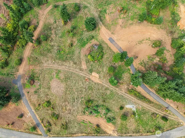 a view of a yard with a fountain and large trees