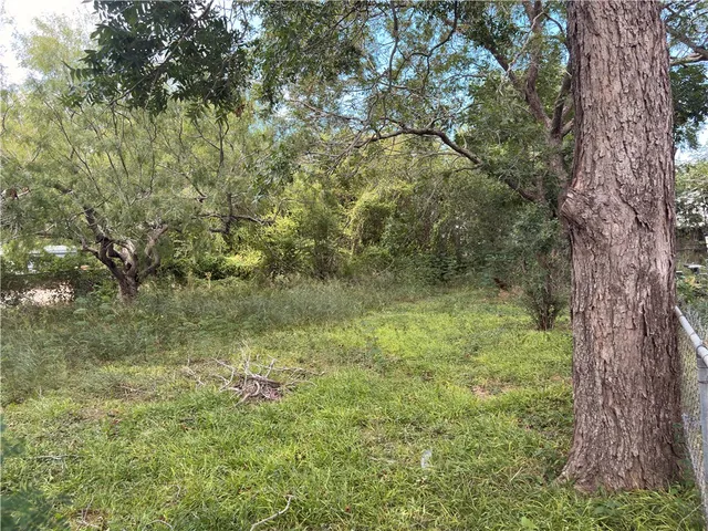 a view of a yard with a tree