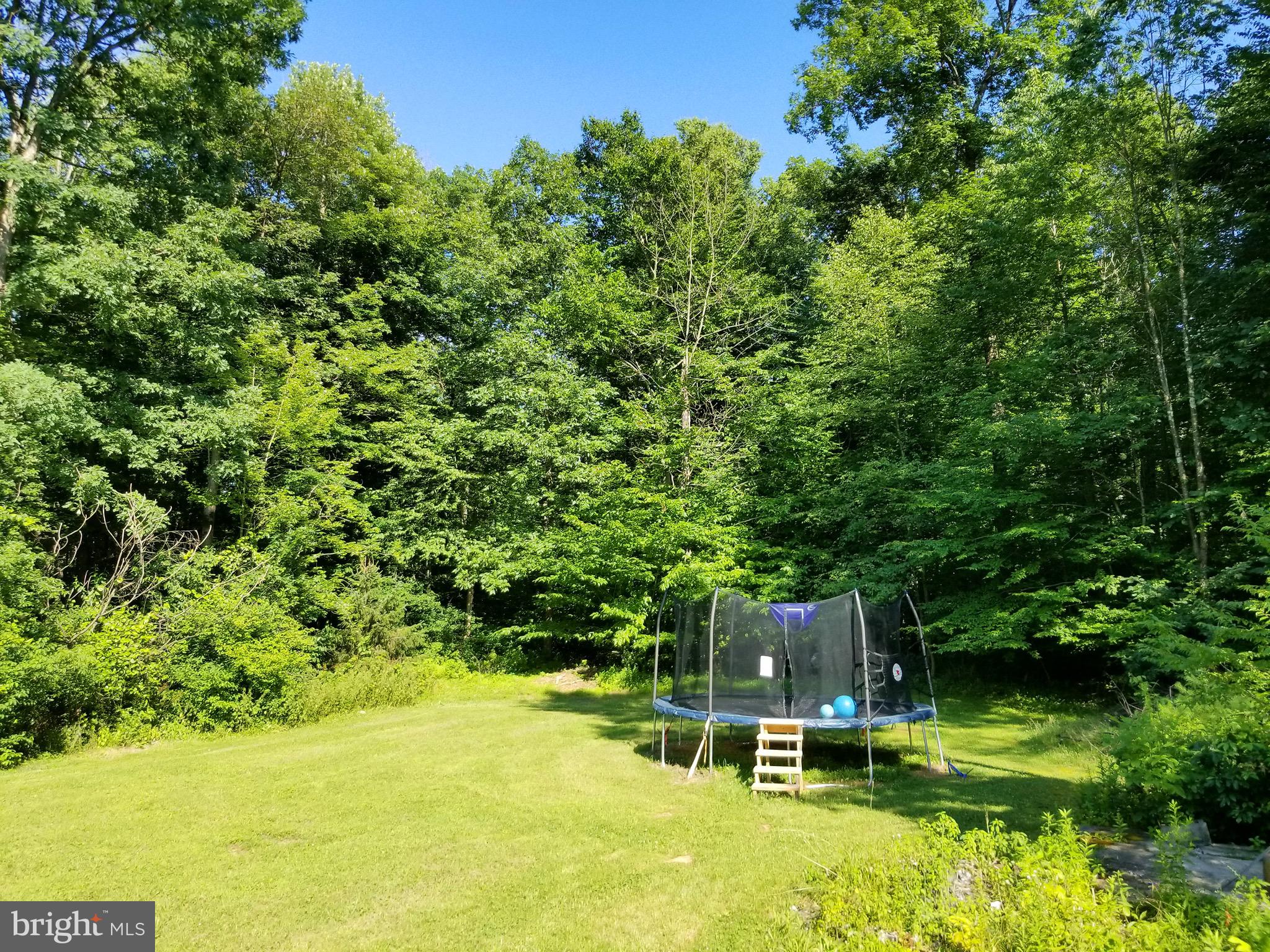 31 Fort Franklin Road Andreas, PA 18211 - Photo 18 of 61 Gallery Image 18