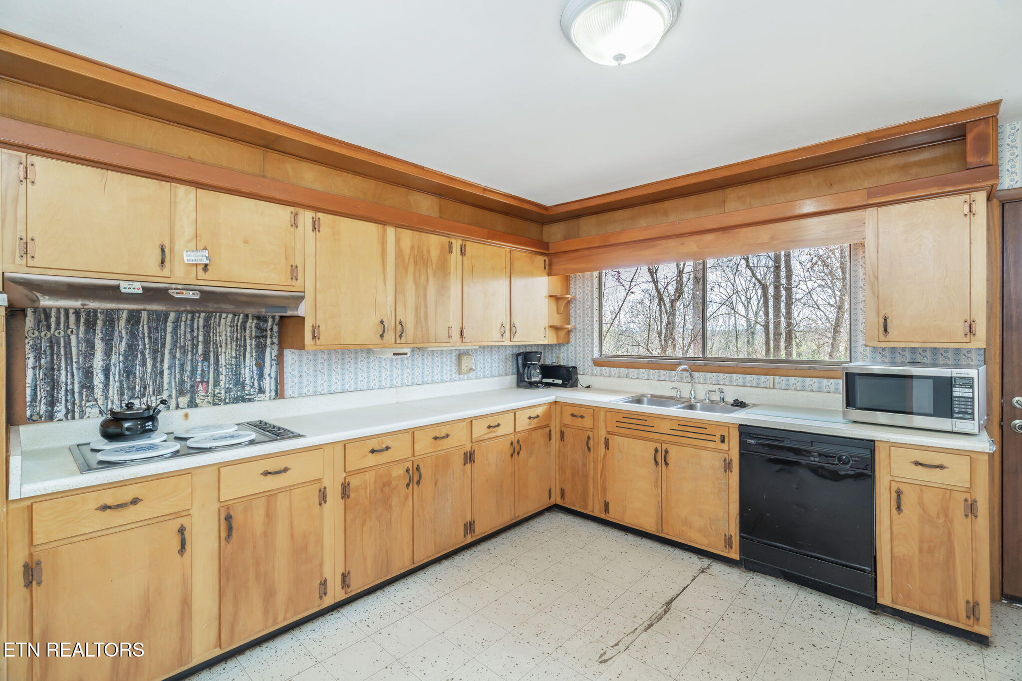 879 West Outer Drive Oak Ridge, TN 37830 - Photo 20 of 53 20-web-or-mls-879 W. Outer Drive-10