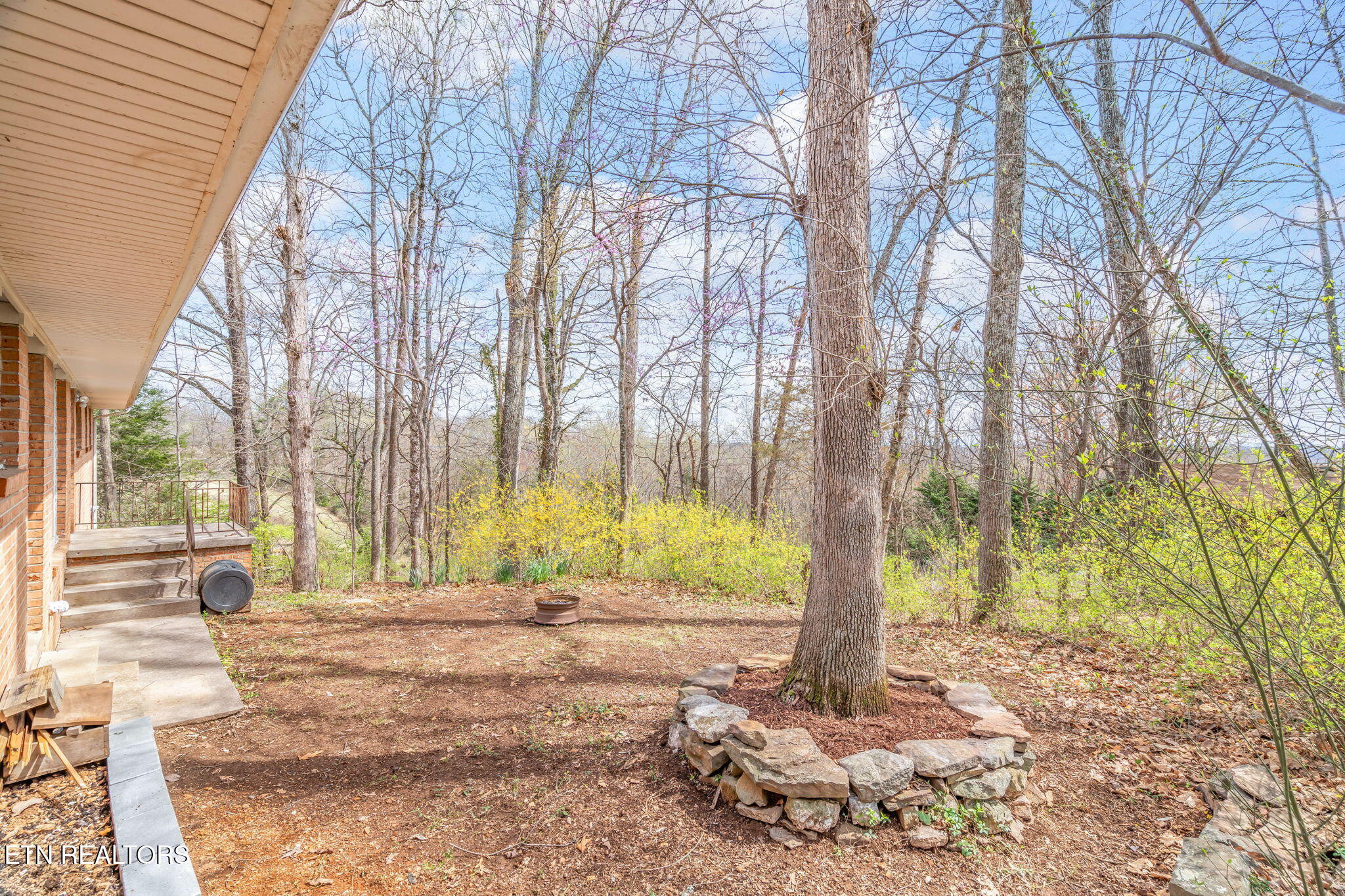 879 West Outer Drive Oak Ridge, TN 37830 - Photo 42 of 53 42-web-or-mls-879 W. Outer Drive-32