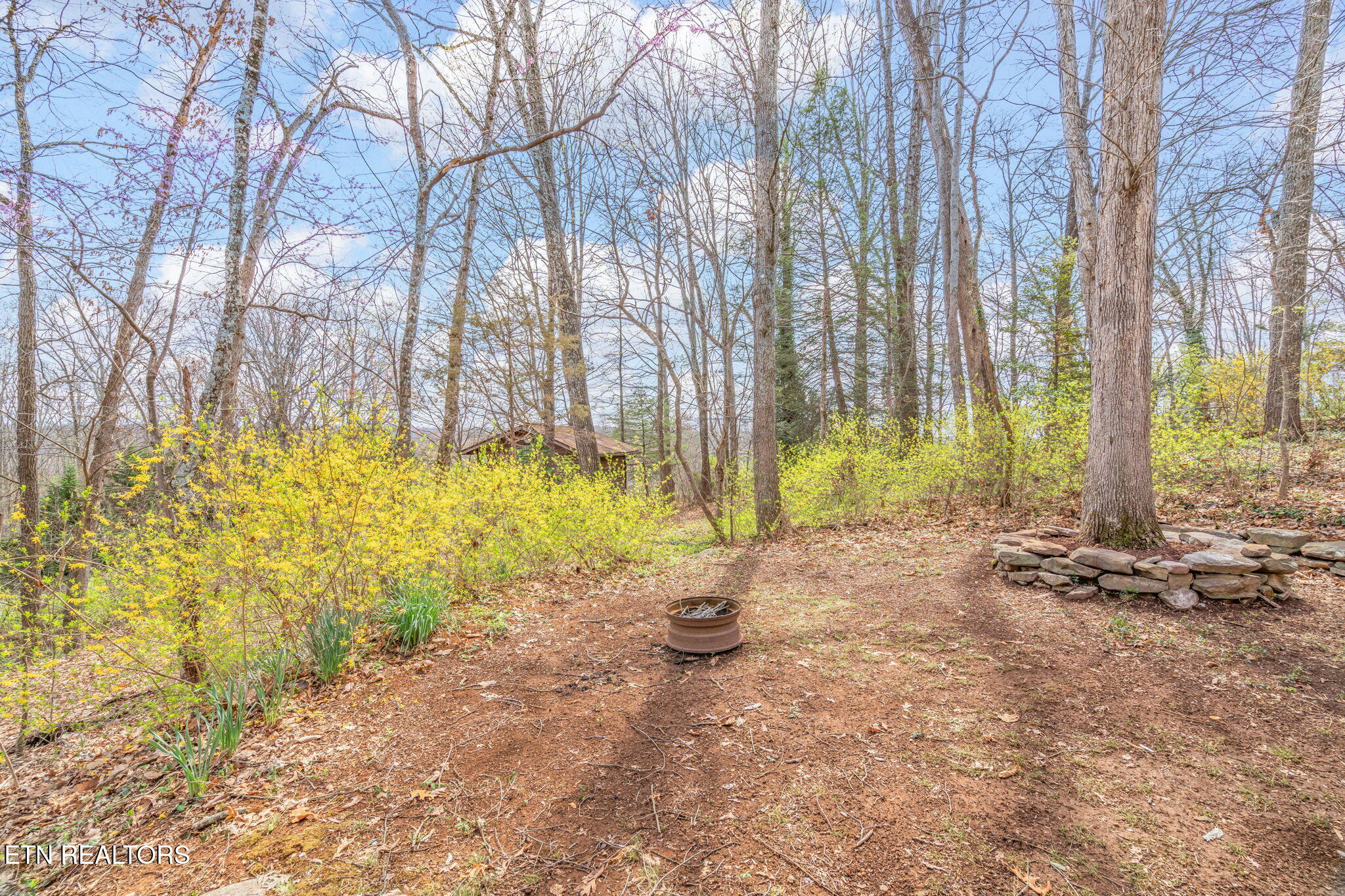 879 West Outer Drive Oak Ridge, TN 37830 - Photo 43 of 53 43-web-or-mls-879 W. Outer Drive-33