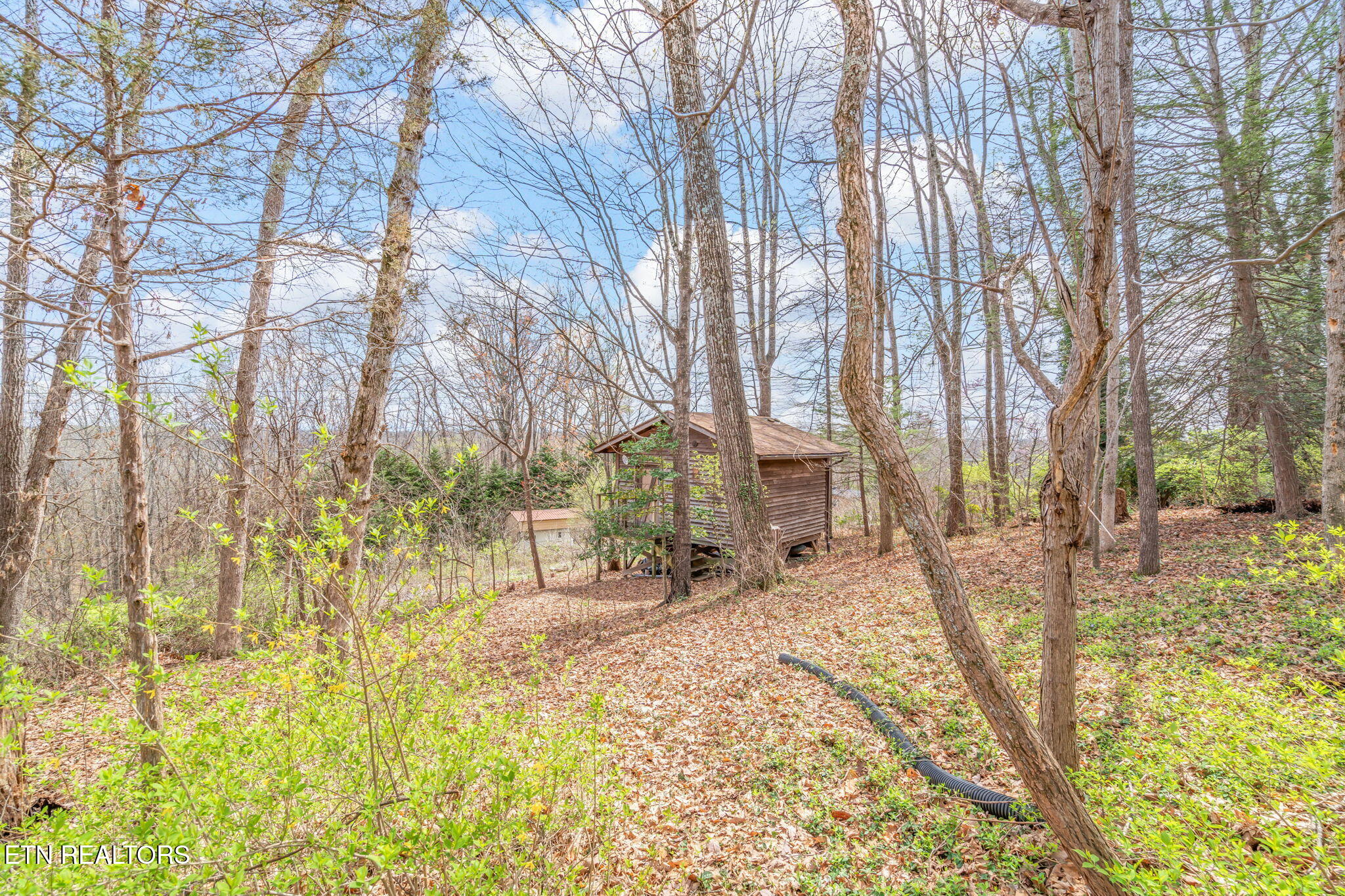 879 West Outer Drive Oak Ridge, TN 37830 - Photo 45 of 53 45-web-or-mls-879 W. Outer Drive-35