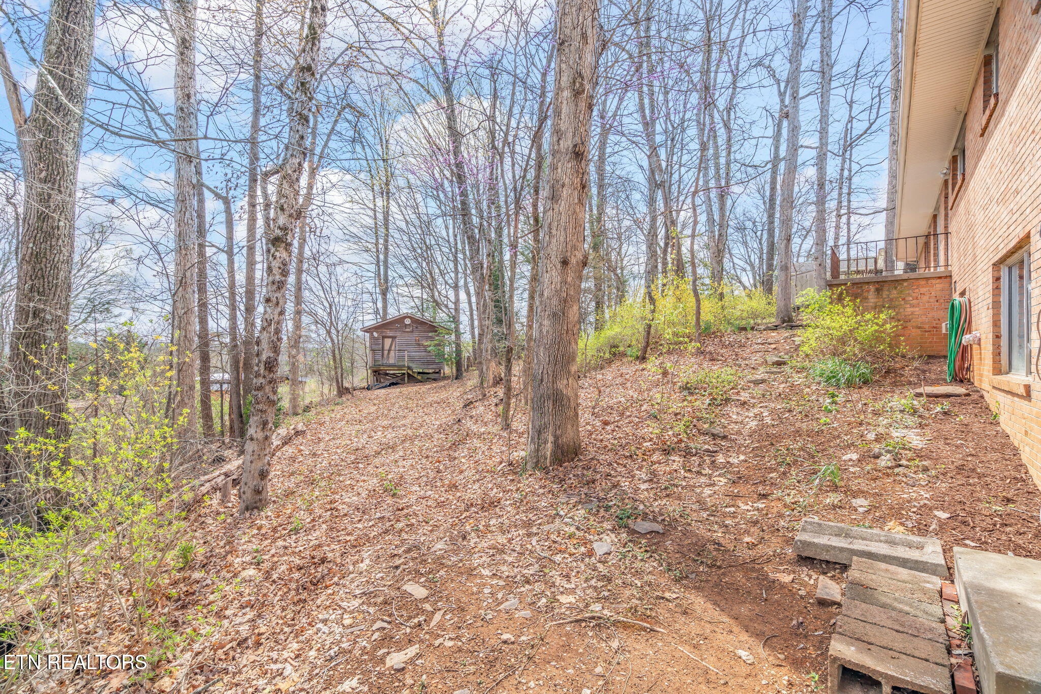 879 West Outer Drive Oak Ridge, TN 37830 - Photo 46 of 53 46-web-or-mls-879 W. Outer Drive-36