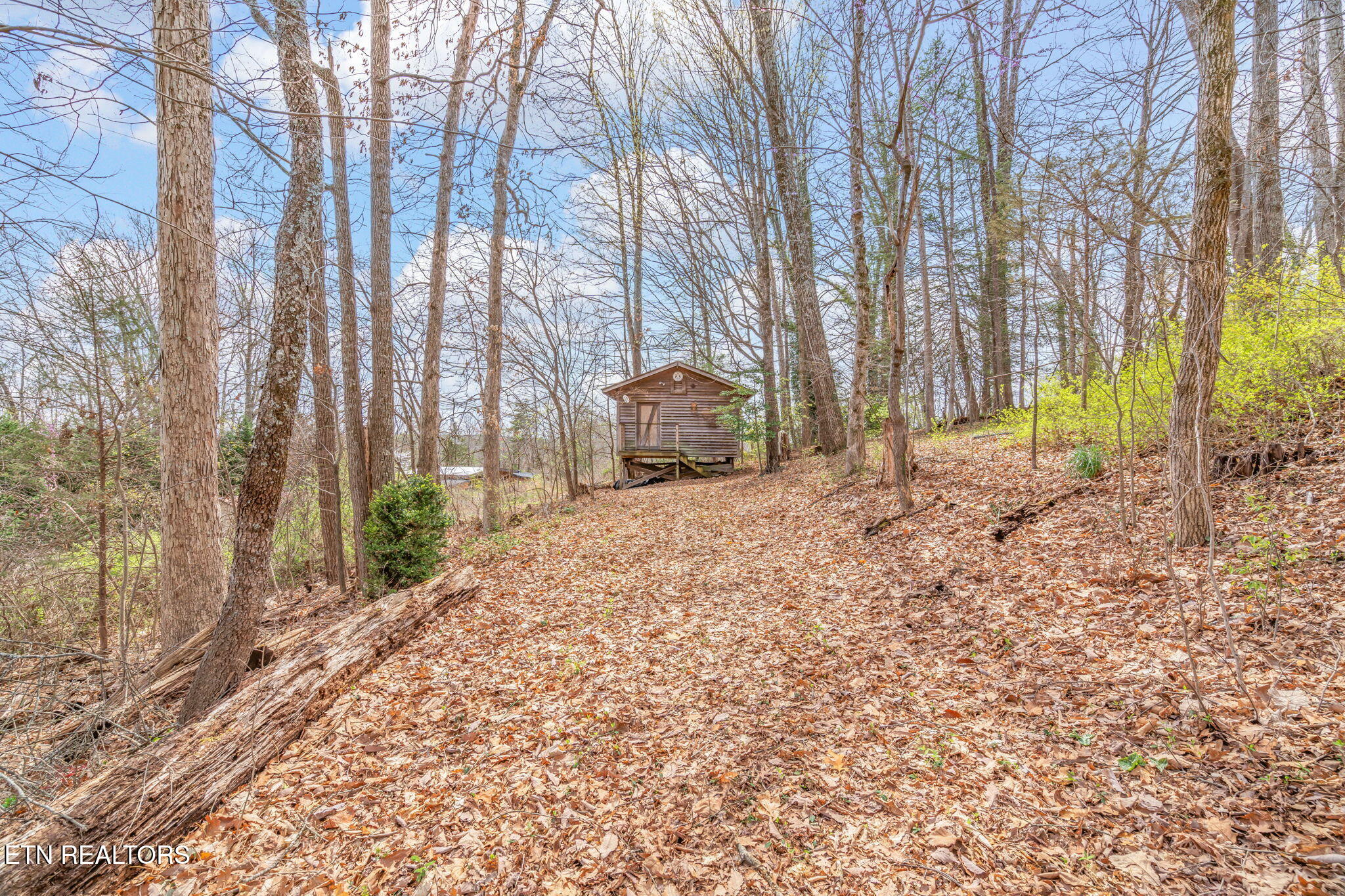 879 West Outer Drive Oak Ridge, TN 37830 - Photo 47 of 53 47-web-or-mls-879 W. Outer Drive-37