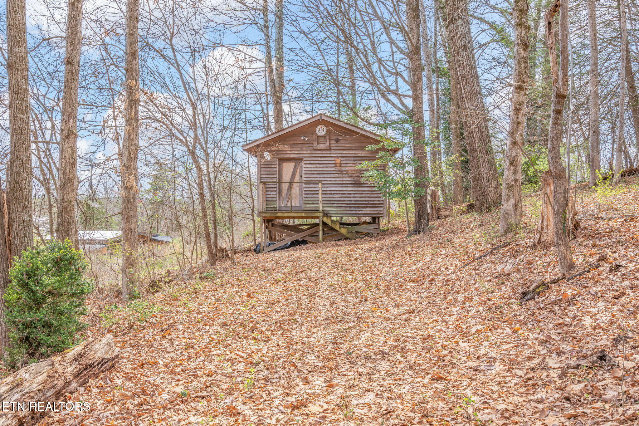 879 West Outer Drive Oak Ridge, TN 37830 - Photo 48 of 53 48-web-or-mls-879 W. Outer Drive-38