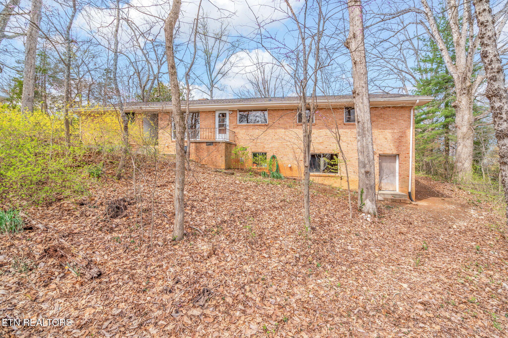 879 West Outer Drive Oak Ridge, TN 37830 - Photo 49 of 53 49-web-or-mls-879 W. Outer Drive-39