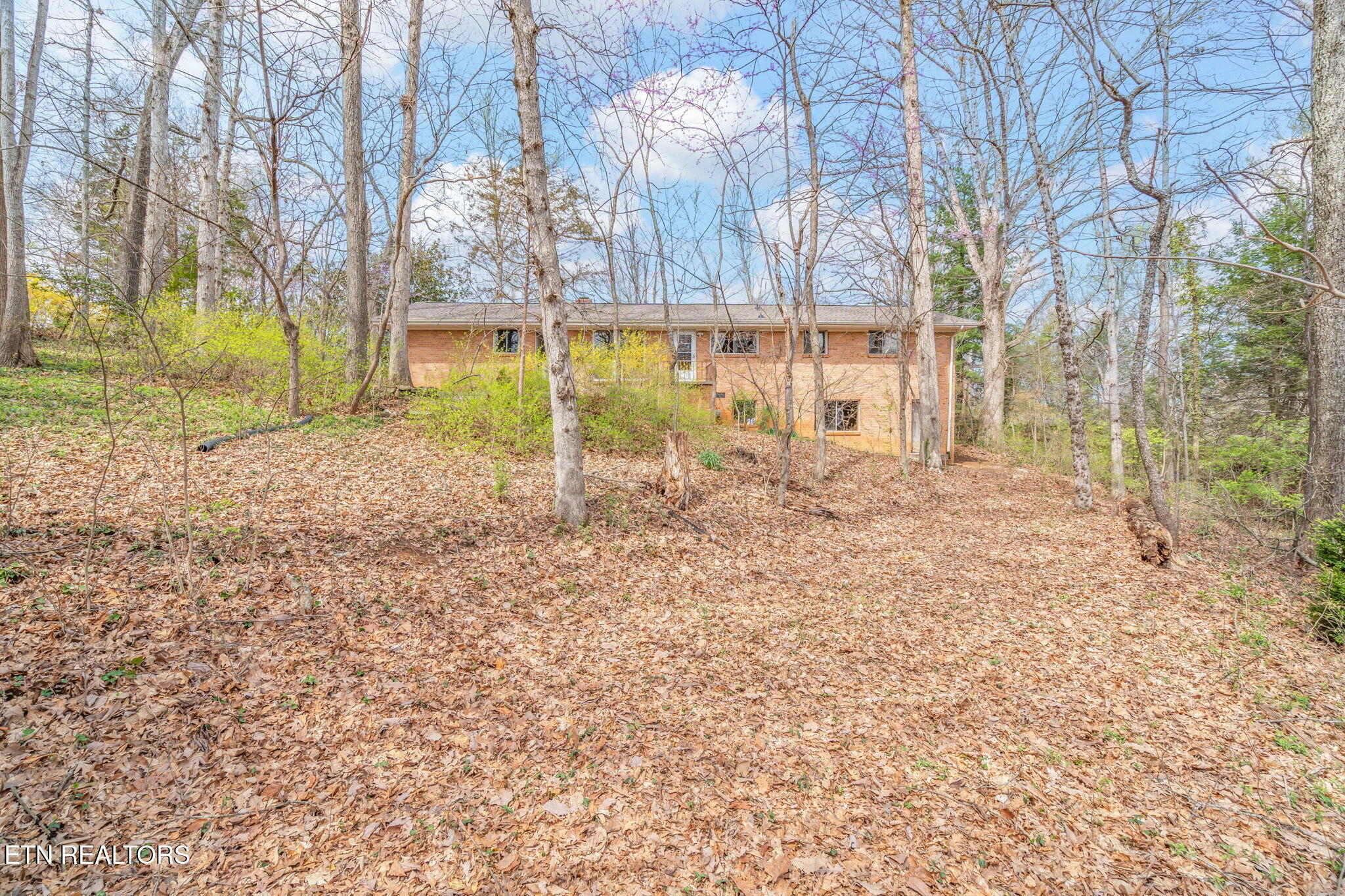 879 West Outer Drive Oak Ridge, TN 37830 - Photo 51 of 53 51-web-or-mls-879 W. Outer Drive-41