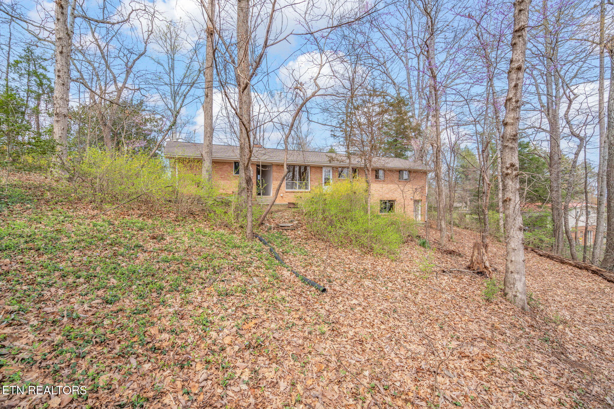 879 West Outer Drive Oak Ridge, TN 37830 - Photo 52 of 53 52-web-or-mls-879 W. Outer Drive-42