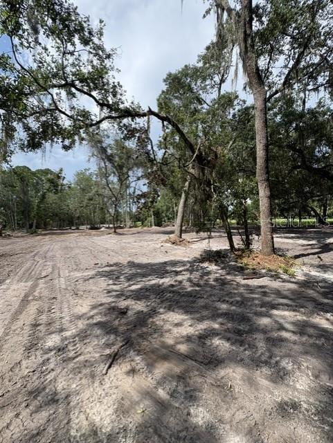 309 County Rd Crescent Crescent City, FL 32112 - Photo 3 of 5