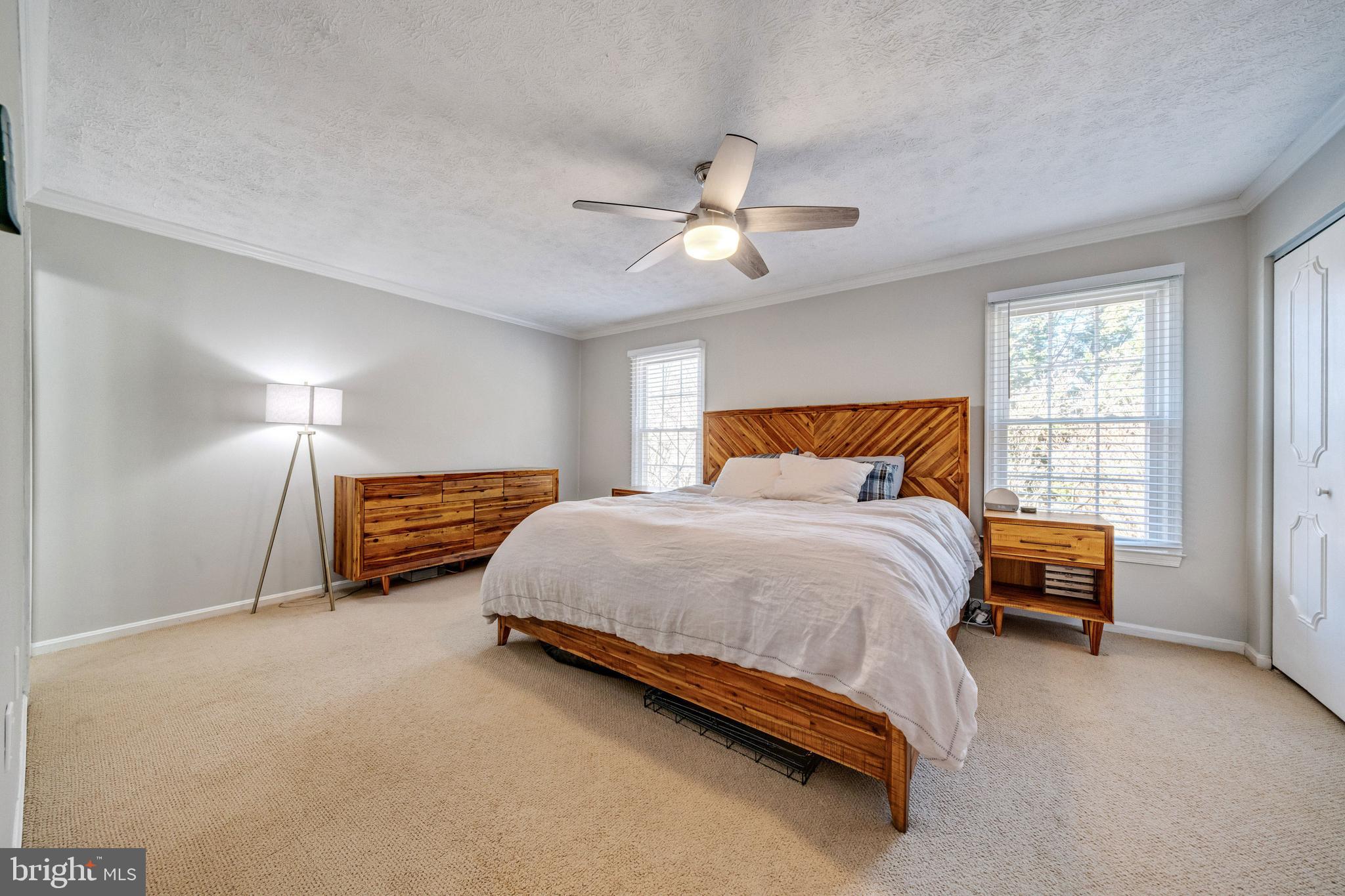 7251 Kousa Lane Springfield, VA 22152 - Photo 17 of 31 Large Master Suite- lots of natural light!