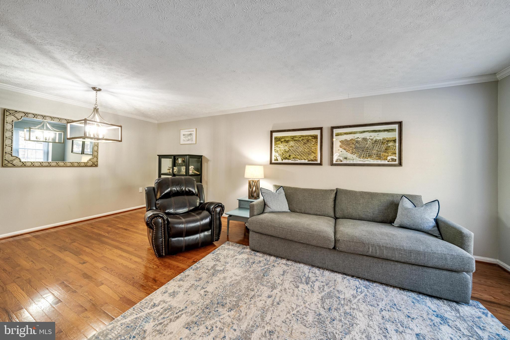 7251 Kousa Lane Springfield, VA 22152 - Photo 4 of 31 Living room with crown molding