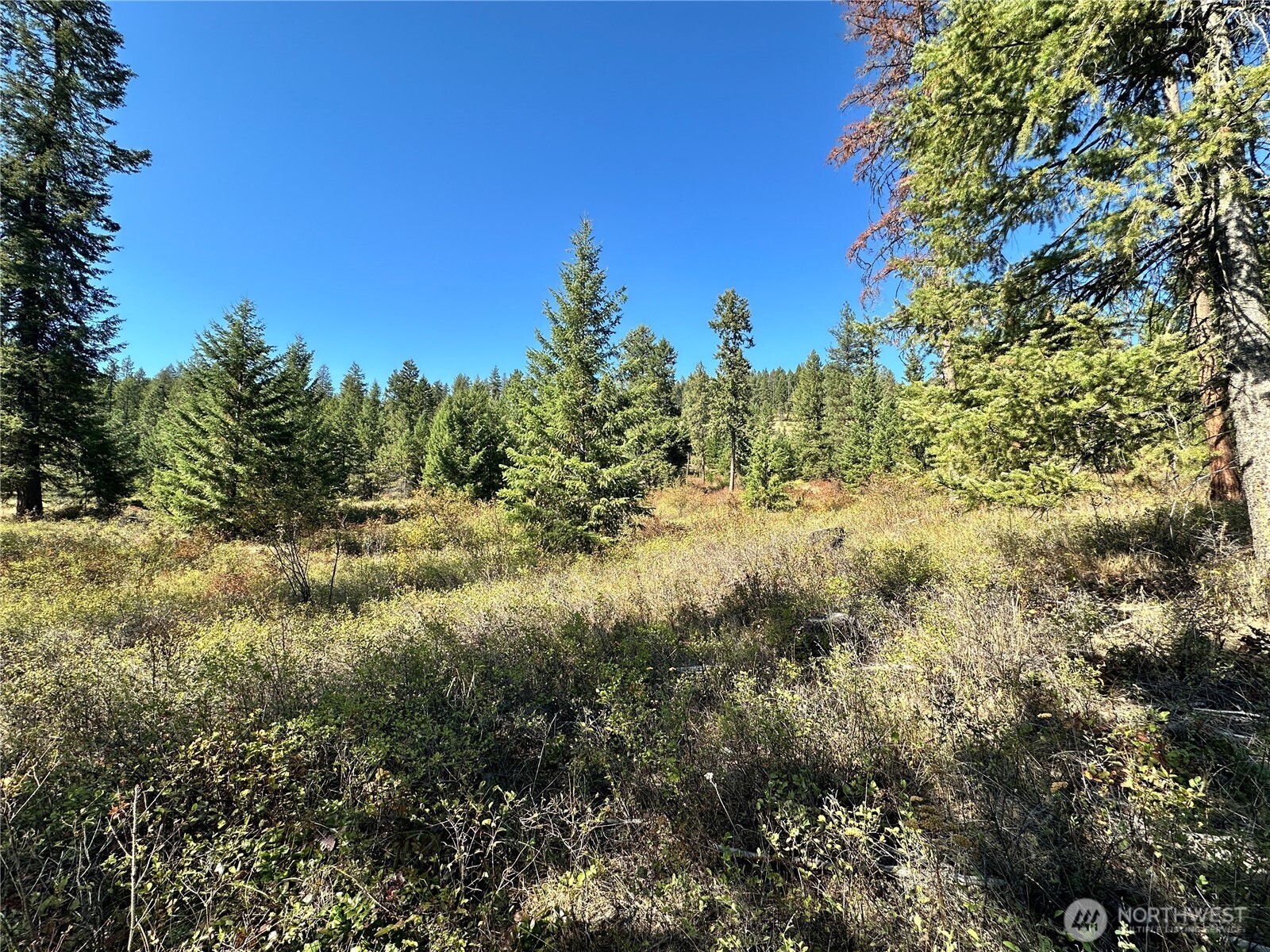 1 Deadman Creek Road Kettle Falls, WA 99141 - Photo 3 of 21 Gallery Image 3