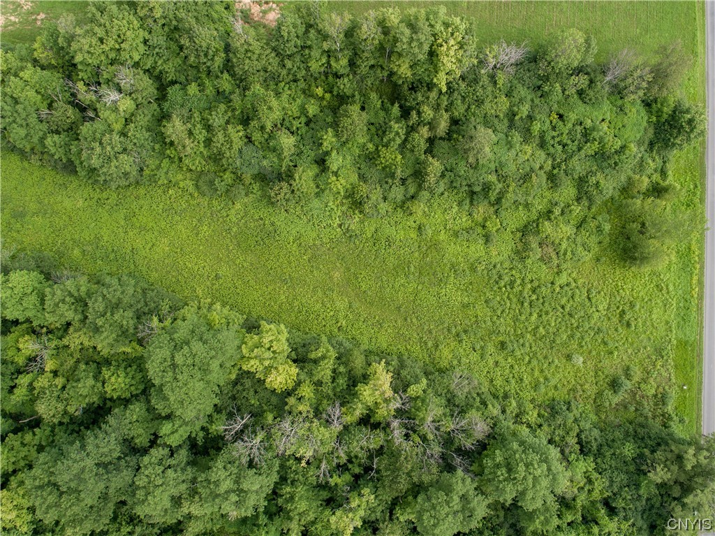 Lot #17 County Line Road, Unit 17 Phoenix, NY 13135 - Photo 14 of 14