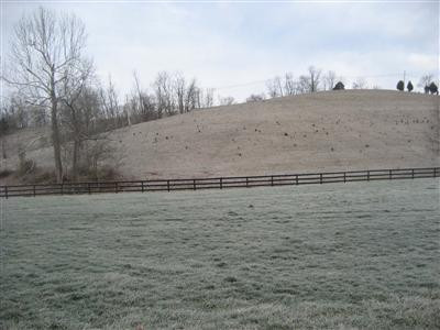 900 East Union Road Carlisle, KY 40311 - Photo 3 of 11 Photo 3