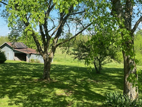 412 Carroll Ridge Road Pulaski, TN 38478 - Photo 15 of 43 Gallery Image 15