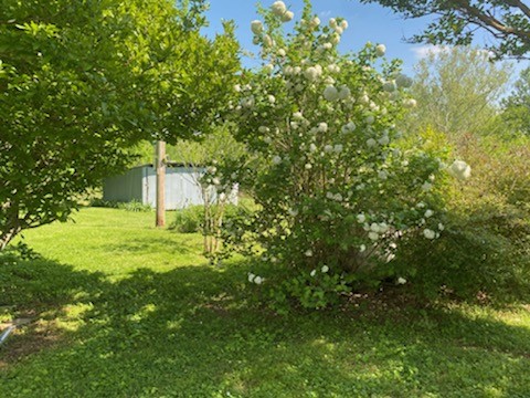 412 Carroll Ridge Road Pulaski, TN 38478 - Photo 5 of 43 Gallery Image 5