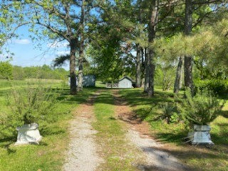 412 Carroll Ridge Road Pulaski, TN 38478 - Photo 8 of 43 Gallery Image 8