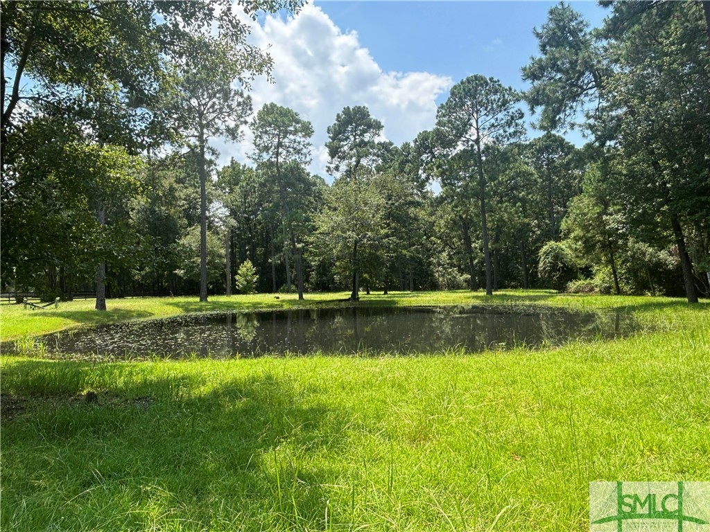 910 Kolic Helmey Road Guyton, GA 31312 - Photo 19 of 40 Pond