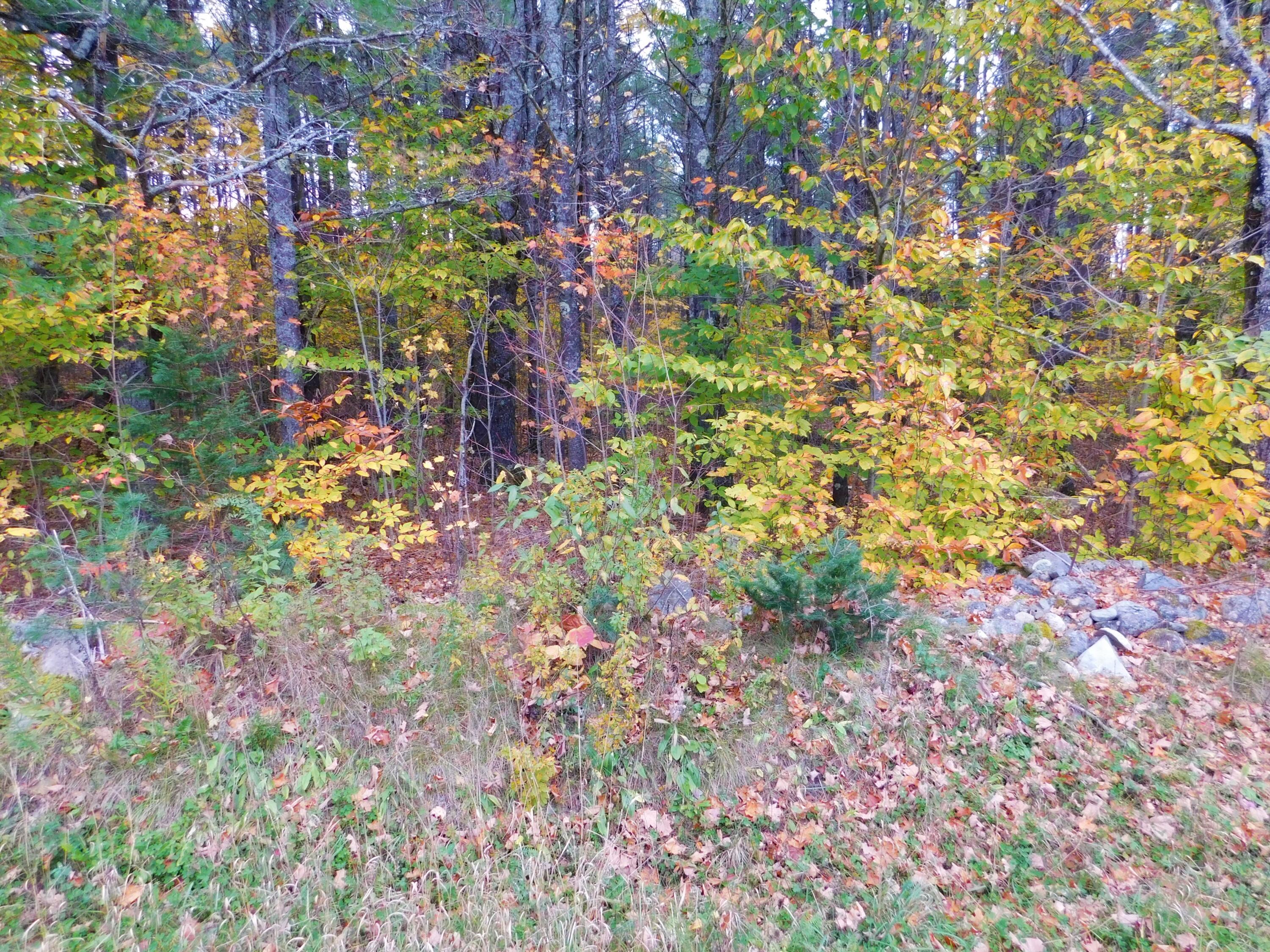 0 Morrill Pond Road Hartland, ME 04943 - Photo 6 of 8 DSCN3608