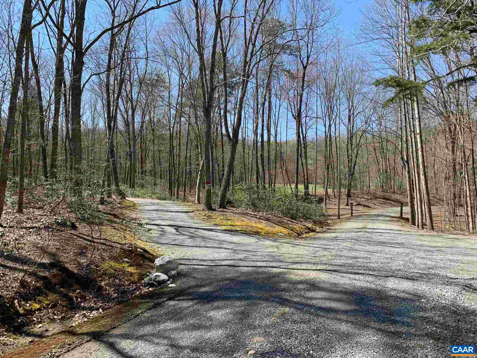 2765 Seville Road Madison, VA 22727 - Photo 2 of 50 a view of a tree with a yard
