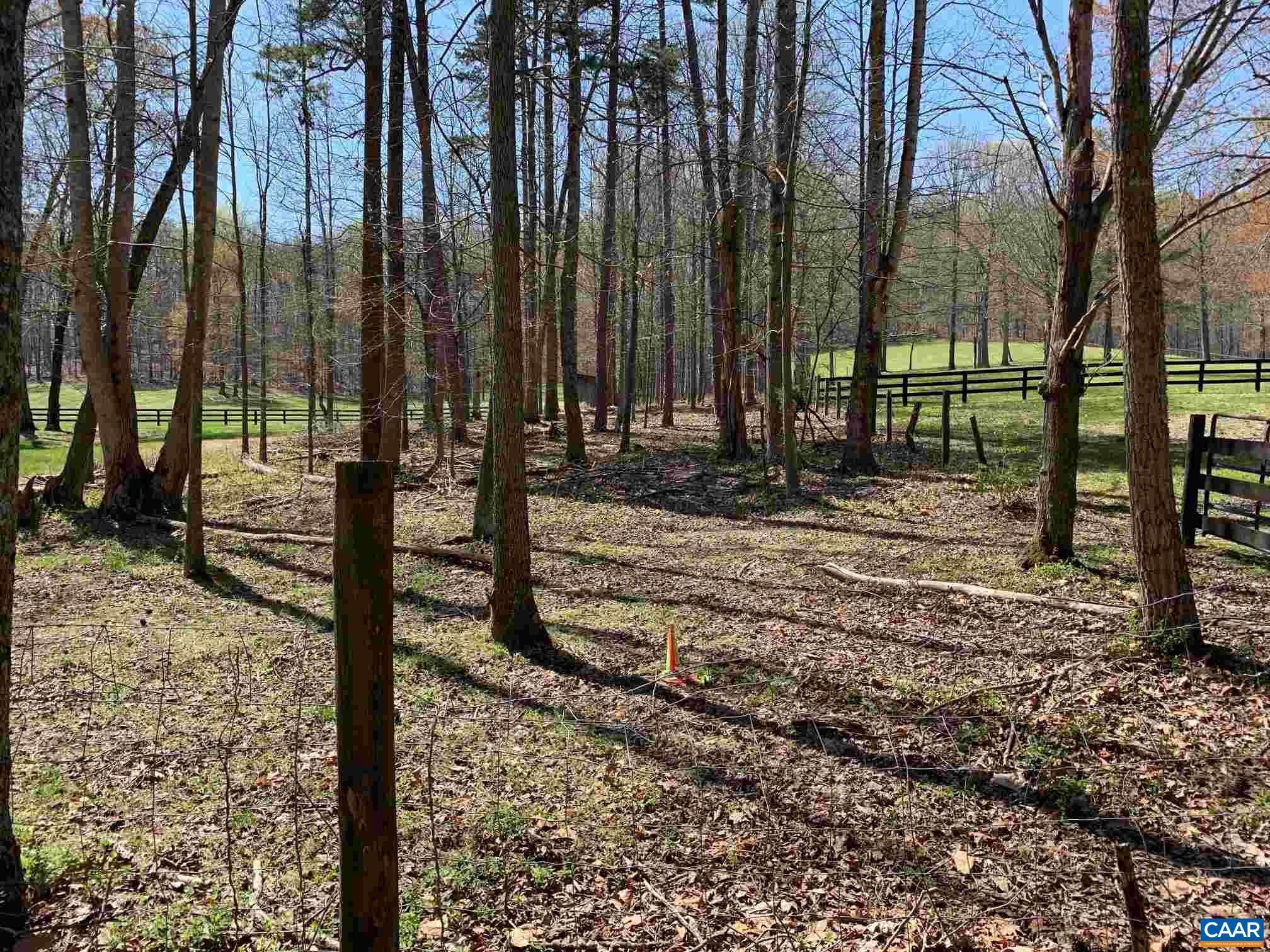 2765 Seville Road Madison, VA 22727 - Photo 49 of 50 a view of a backyard with trees