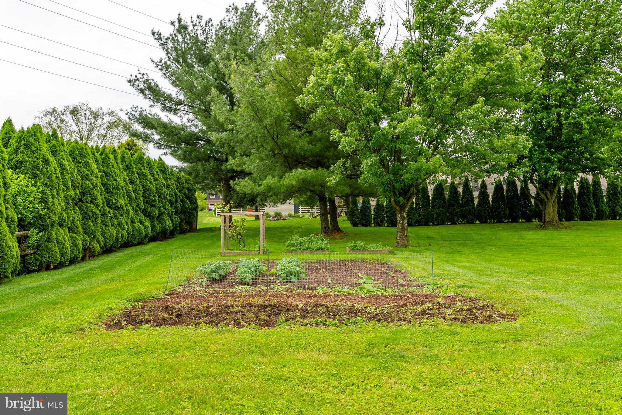 303 Lauschtown Road Denver, PA 17517 - Photo 37 of 92