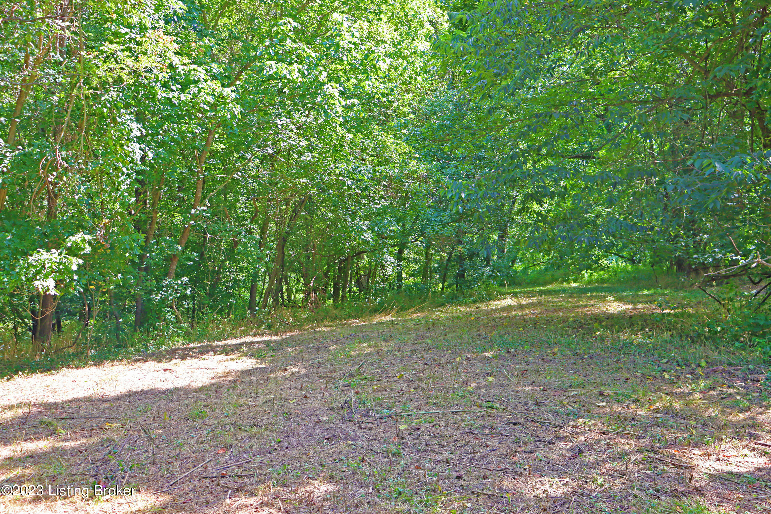 9006 River Road Turners Station, KY 40075 - Photo 30 of 39 Side Campground 2
